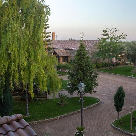 Tenuta Sciacca Villa Falciano del Massico Exterior photo