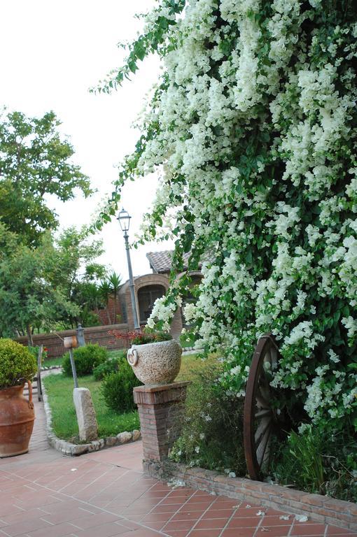 Tenuta Sciacca Villa Falciano del Massico Exterior photo