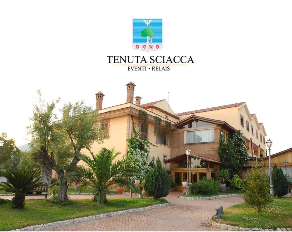 Tenuta Sciacca Villa Falciano del Massico Exterior photo