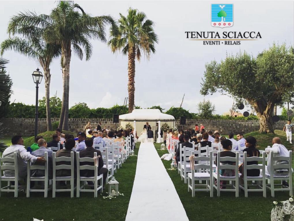 Tenuta Sciacca Villa Falciano del Massico Exterior photo