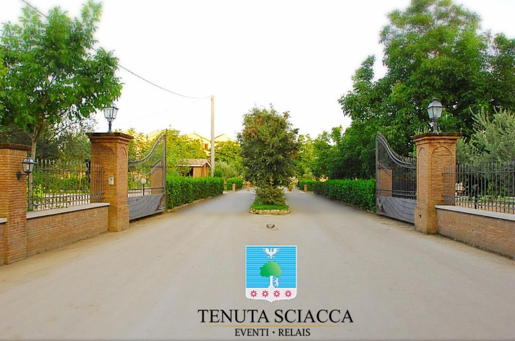Tenuta Sciacca Villa Falciano del Massico Exterior photo