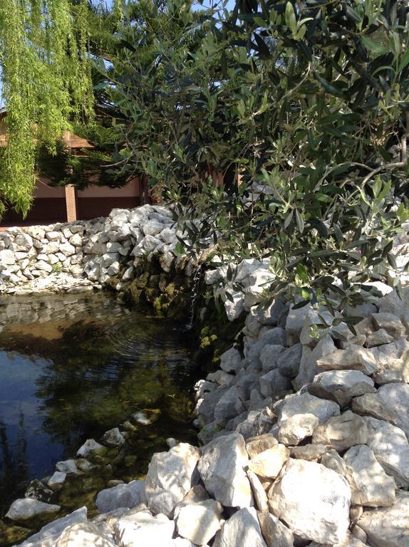 Tenuta Sciacca Villa Falciano del Massico Exterior photo