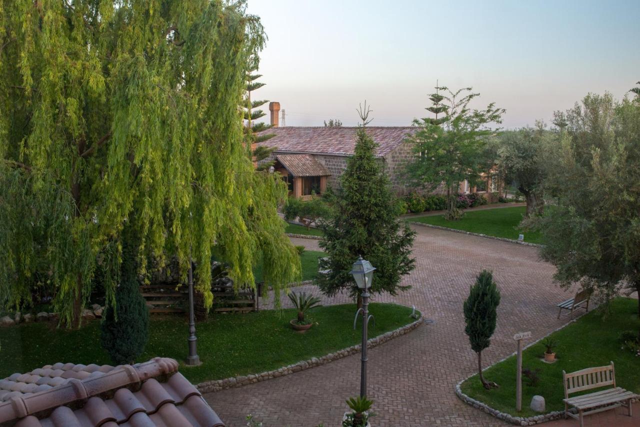 Tenuta Sciacca Villa Falciano del Massico Exterior photo
